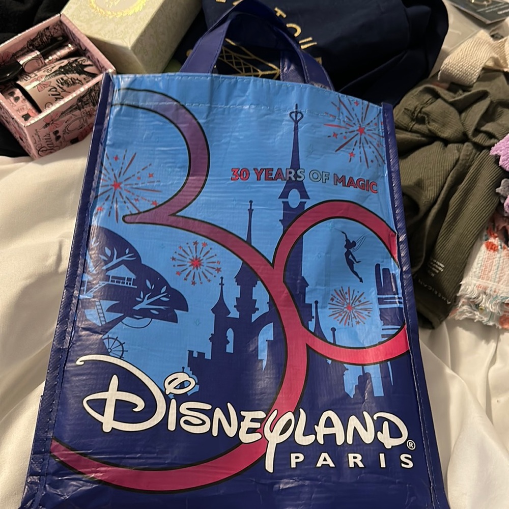 Small sized DisneyLand Paris bag